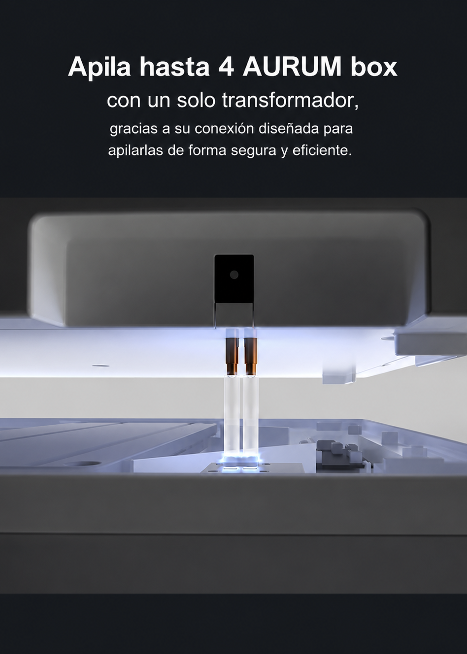 AURUM BOX